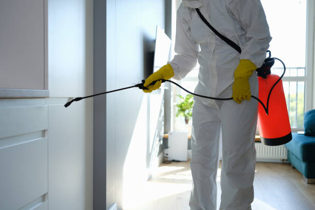 Spring Hill, FL Mold Remediation Company